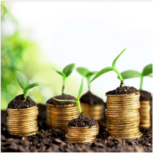 Agro-Real Estate with Oil Palm