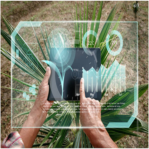 Why Oil Palm Agro Reality?